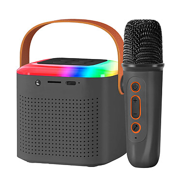 Avizar Mini Enceinte Bluetooth LED avec Micro Sans Fil Kit Karaoke Portable Noir