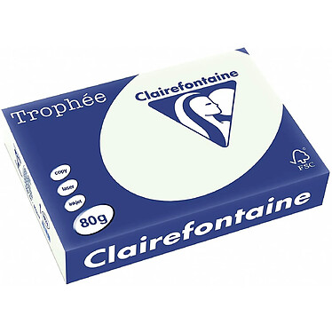 CLAIREFONTAINE Ramette 500 Feuilles Papier 80g A4 210x297 mm Certifié FSC Vert pâle