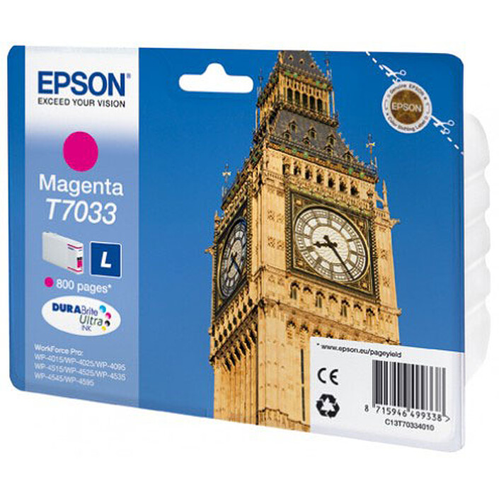 Epson T7033