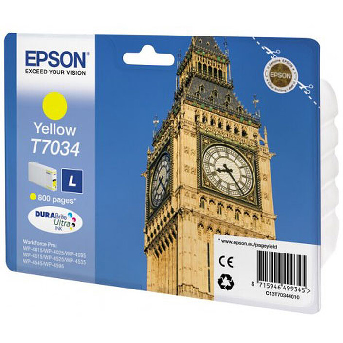 Epson T7034