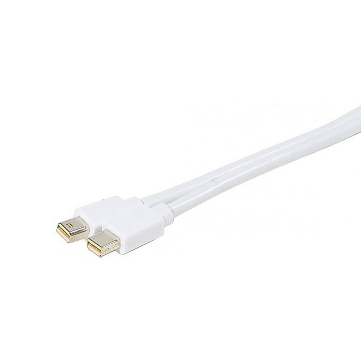 Câble Mini DisplayPort mâle/mâle (1 mètre)