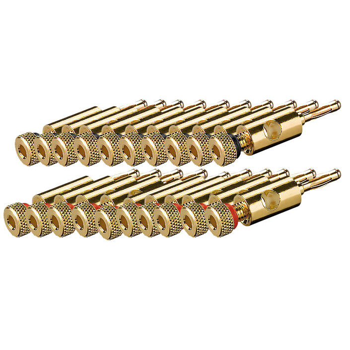 Fiches bananes pour installation 5.1 (par 20)