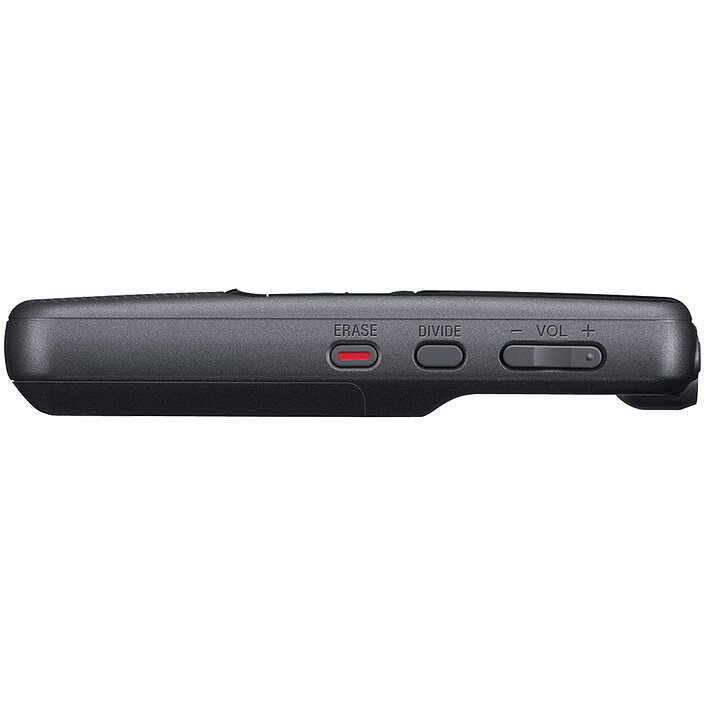 Acquista Sony ICD-PX240 4 GB