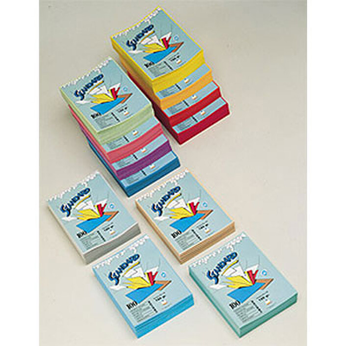 Rainex 100 Chemises Standard 24 x 32 cm 180 g Couleurs assorties