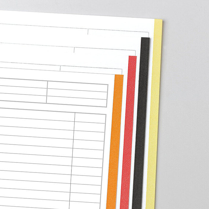 Oxford FilingBook Cahier A4+ 200 pages 233x298mm travers marge pas cher