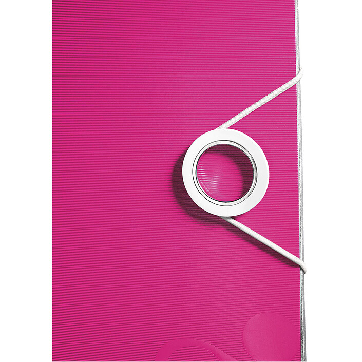 Avis Leitz Classeur à Levier 180° Wow Rose