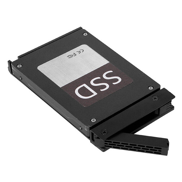 Acheter ICY DOCK ExpressTray Mini MB322TP-B