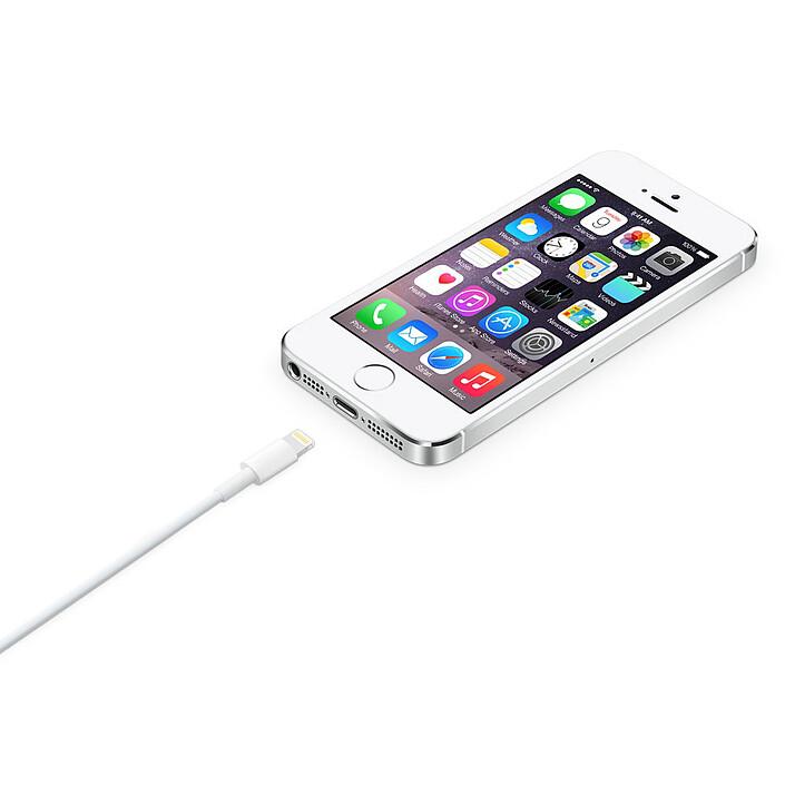 Acheter Apple Câble Lightning vers USB - 2 m