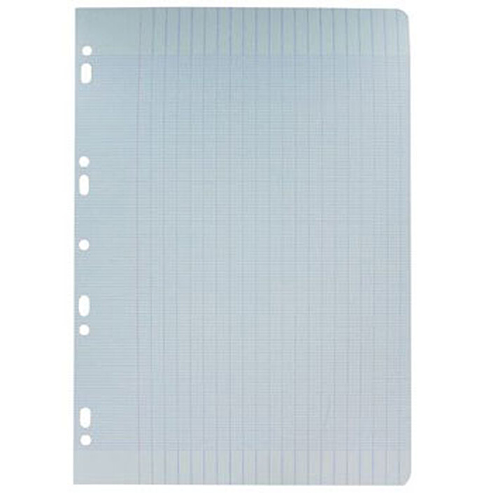 500 Copies simple perforées 21 x 29.7 cm grands carreaux Seyes