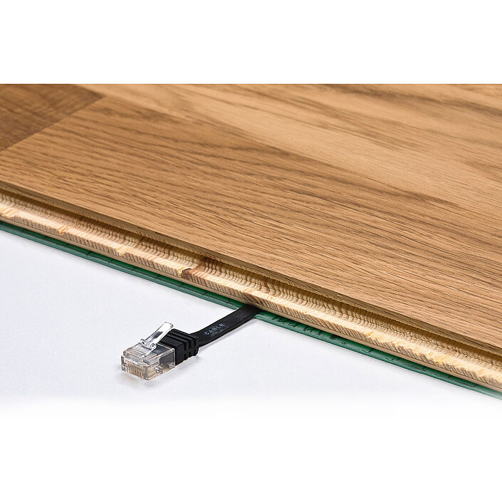 Cable RJ45