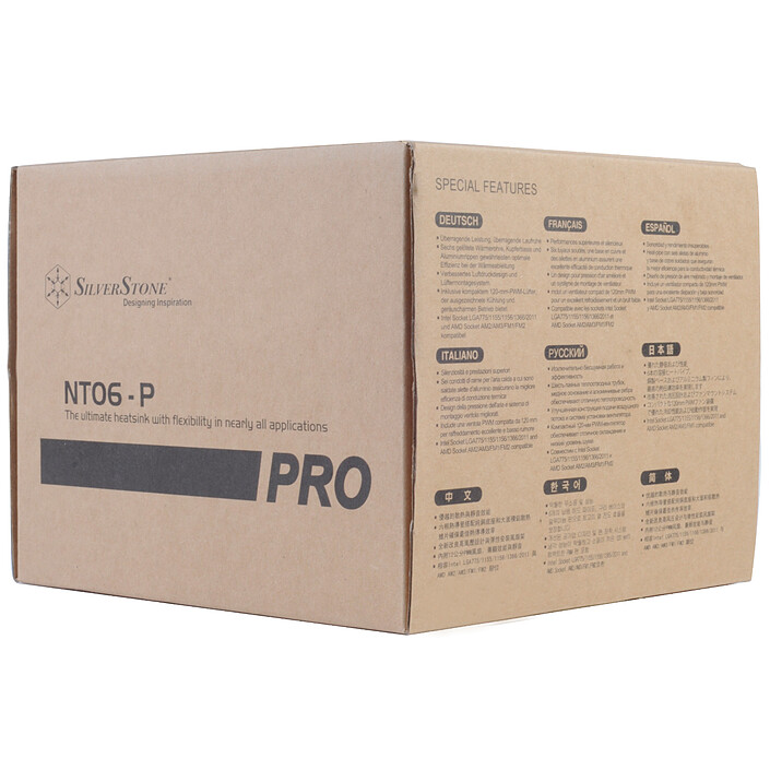 SilverStone Nitrogon NT06-PRO V2 economico