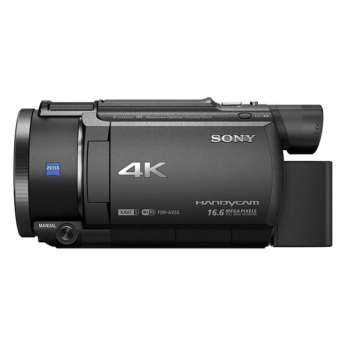 Acquista Sony FDR-AX53B