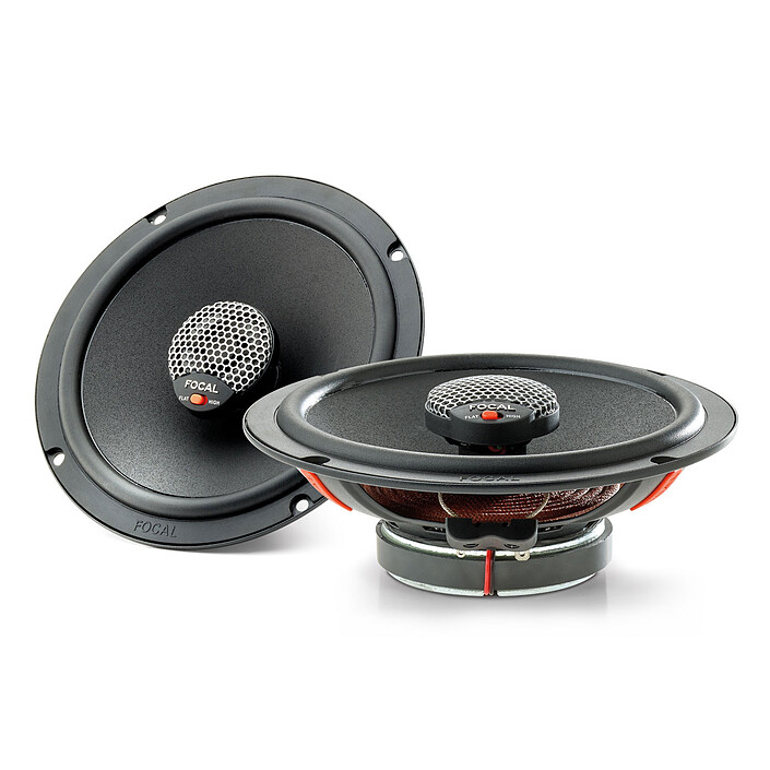 Focal ICU165