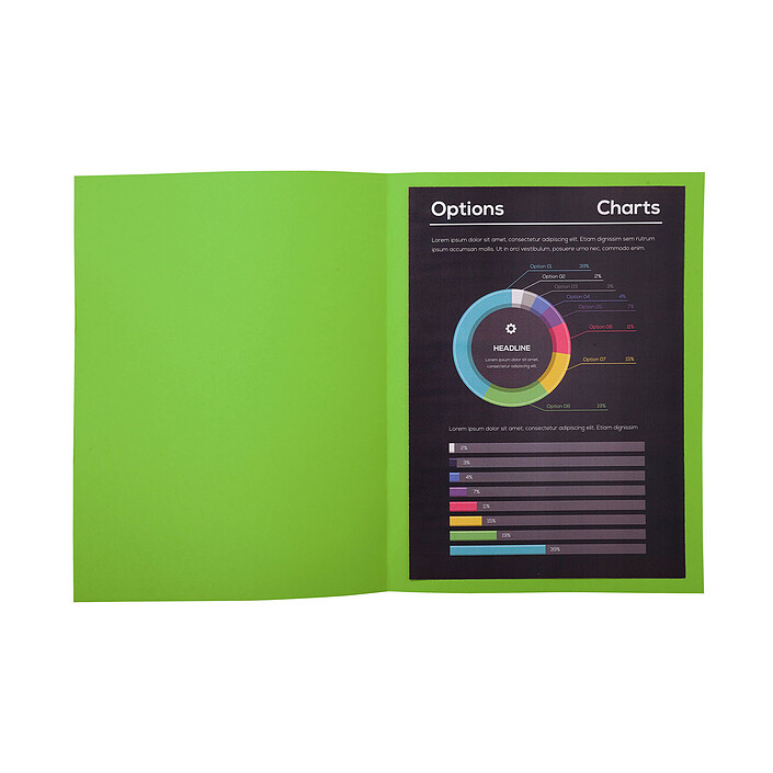 Avis Exacompta Chemises Rock"s Vert x 100