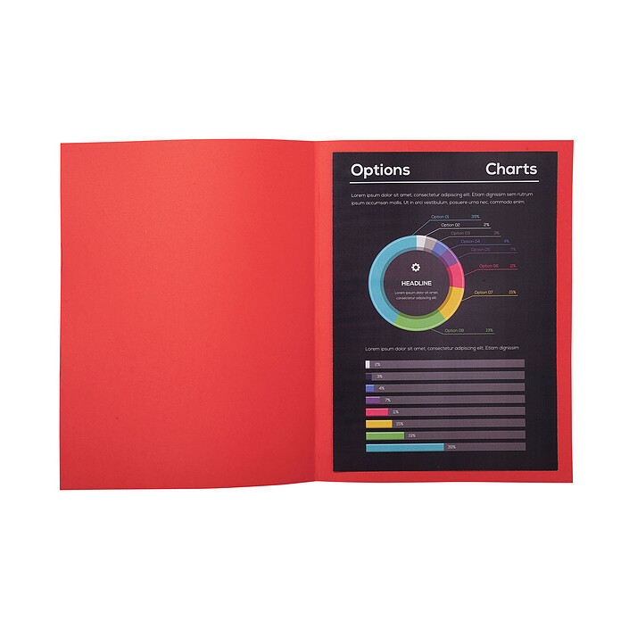Avis Exacompta Chemises Rock"s Rouge x 100