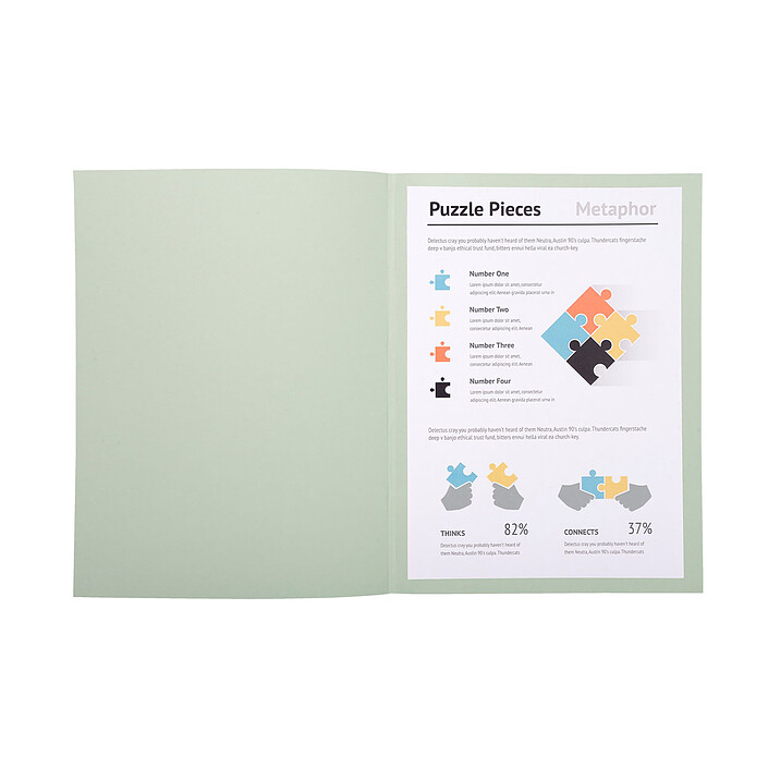 Avis Exacompta Chemises Super Gris x 100