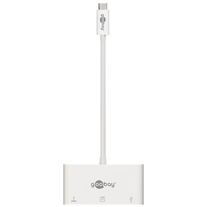 Goobay Adattatore Multiporta USB-C / VGA (M/F)