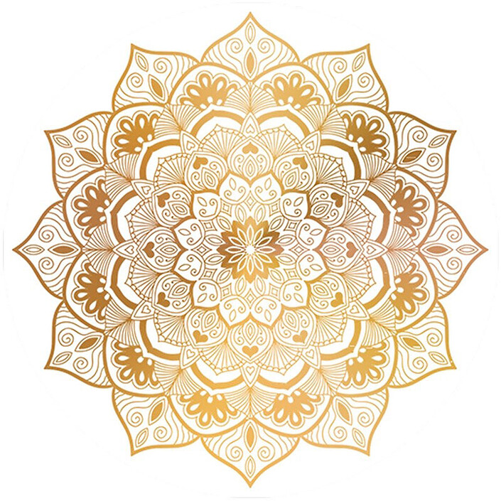 Accessoires divers smartphone