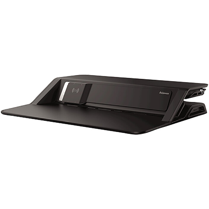 Fellowes Lotus DX Noir pas cher