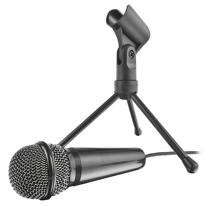 Microphone