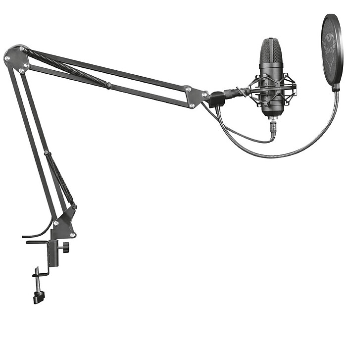 Microphone