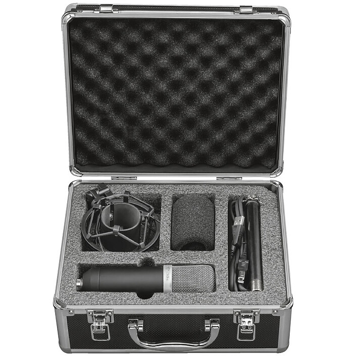 Buy Trust Gaming GXT 252 Emita