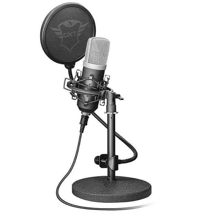 Microphone