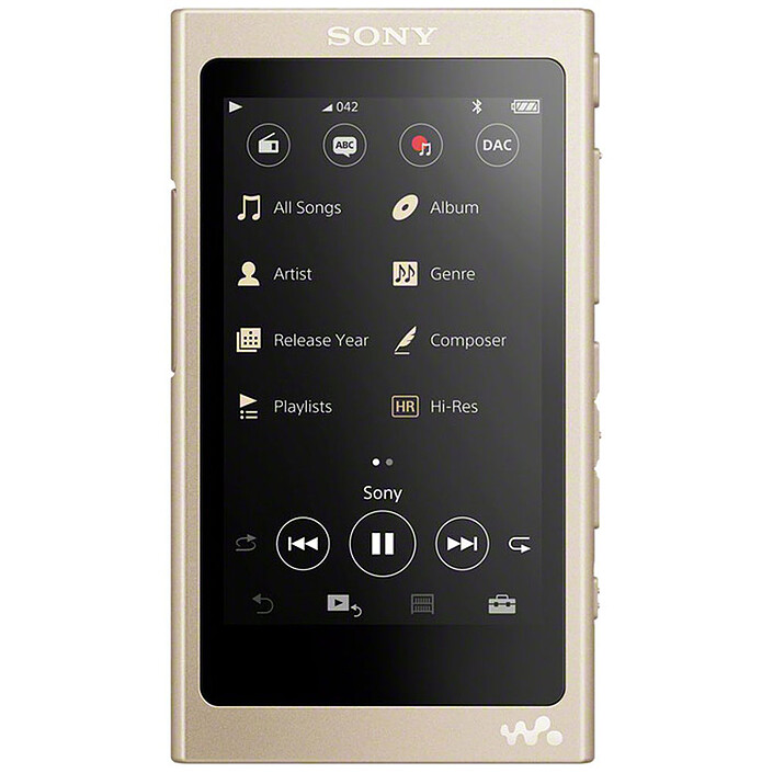 Sony NW-A45 Or Clair