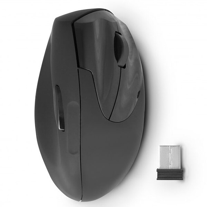 Souris PC