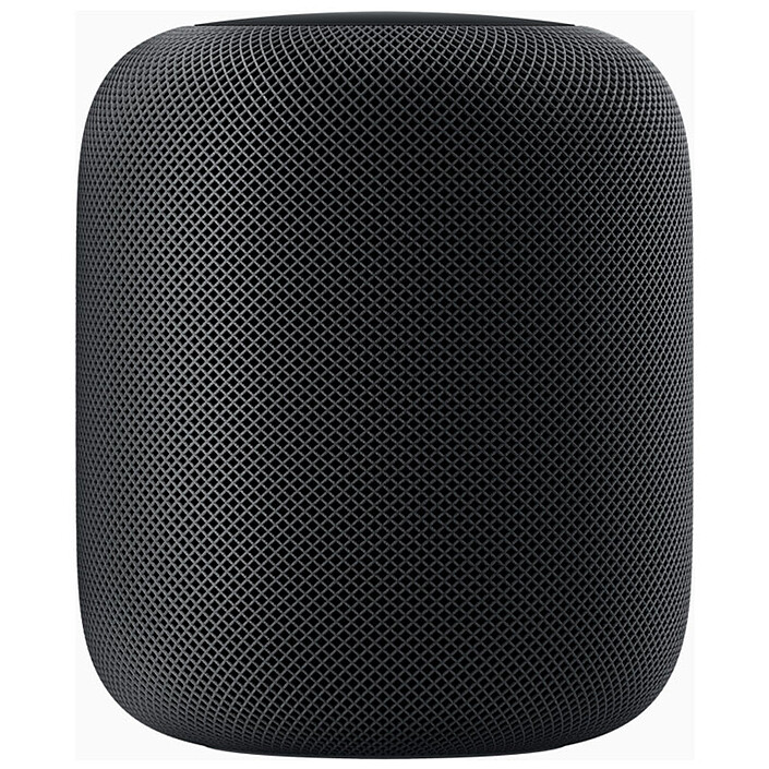 Apple HomePod Gris Sidéral