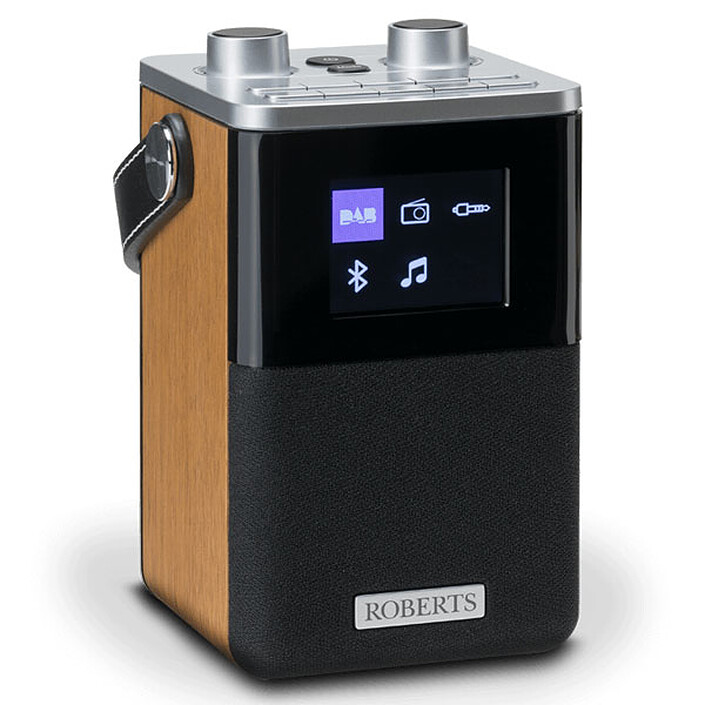 Roberts Blutune T2