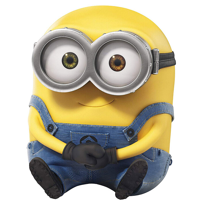 Tapis Minions - Bob