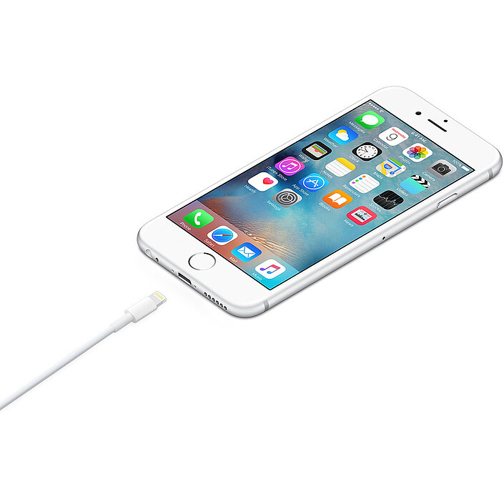 Acheter Apple Câble Lightning vers USB - 1 m