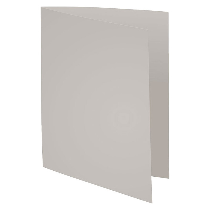 Exacompta Chemises Forever 170g Gris x 100