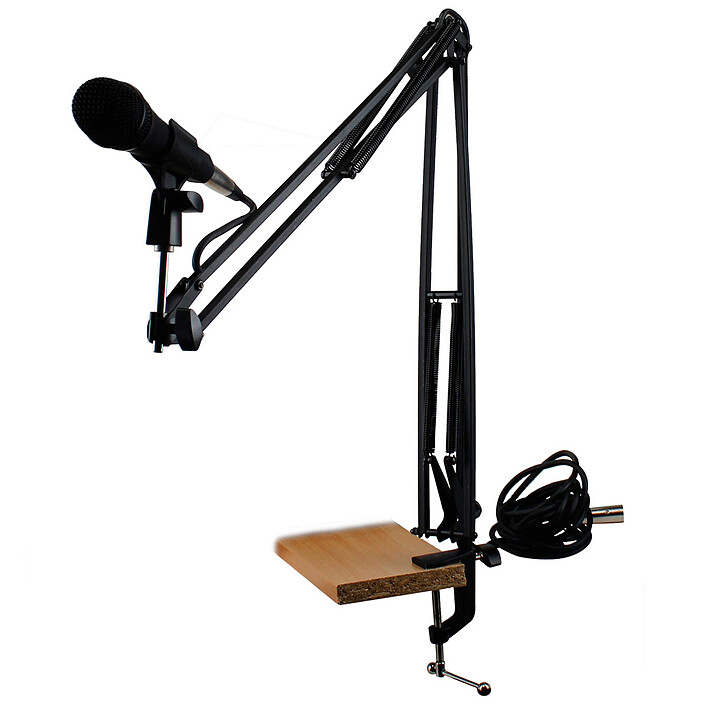 Microphone