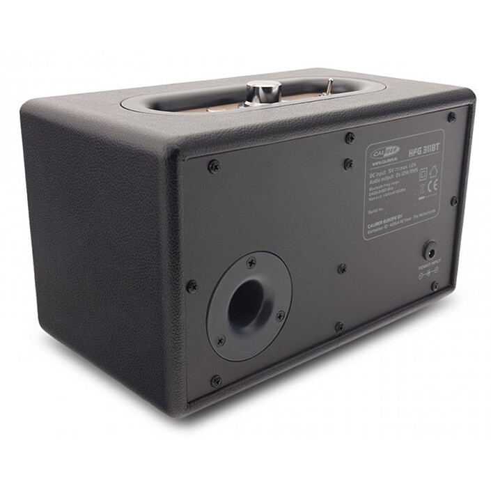 Acquista Caliber HFG311BT