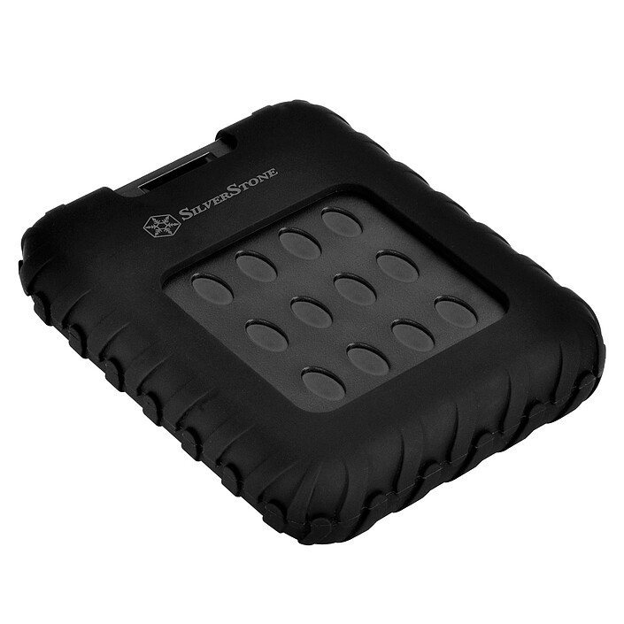 Acheter SilverStone Mammoth MMS01