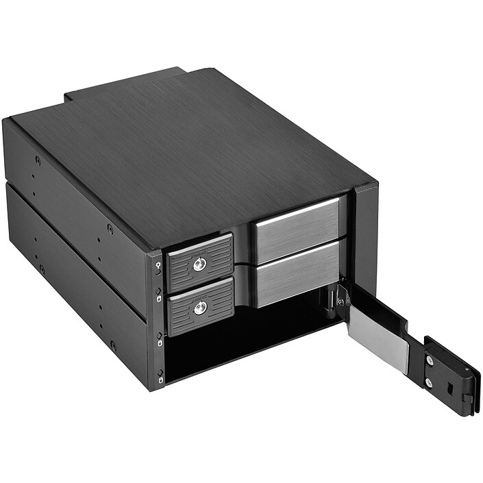 Avis SilverStone FS303