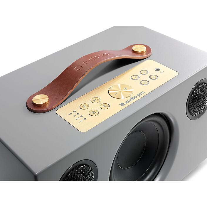 Avis Audio Pro Addon C5 Gris