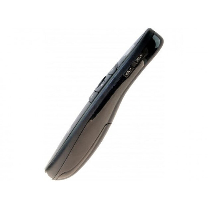 Souris de présentation