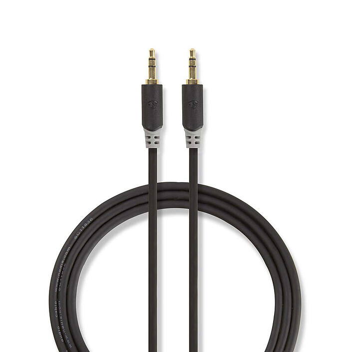 Câble audio Jack
