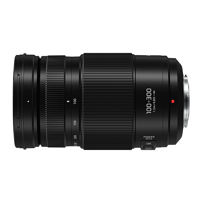 Avis Panasonic Lumix H-FSA100300