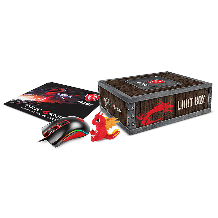 MSI Loot Box - Level 1 "MSI Souris Gaming"