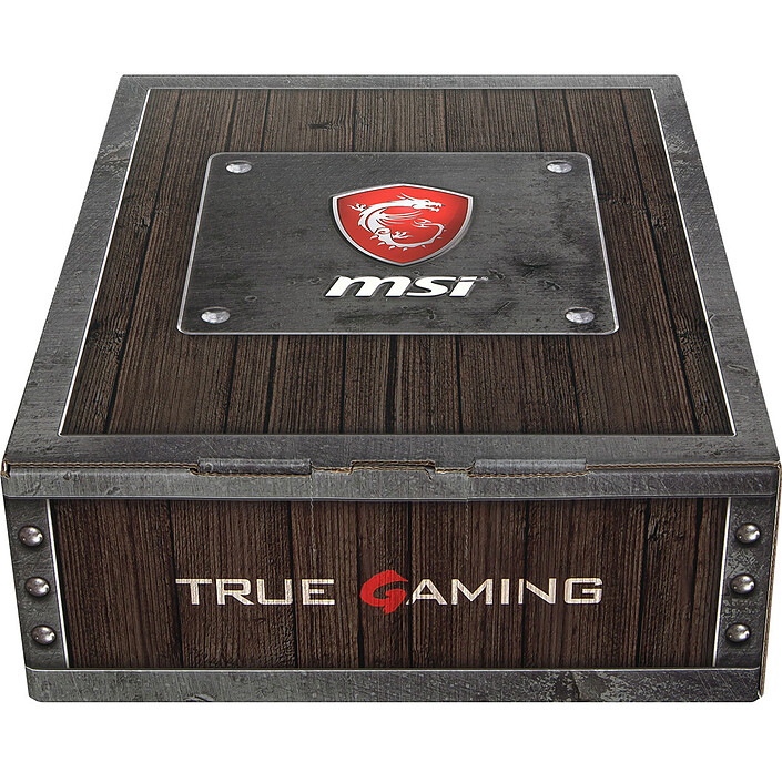 Avis MSI Loot Box - Level 1 "MSI Souris Gaming"