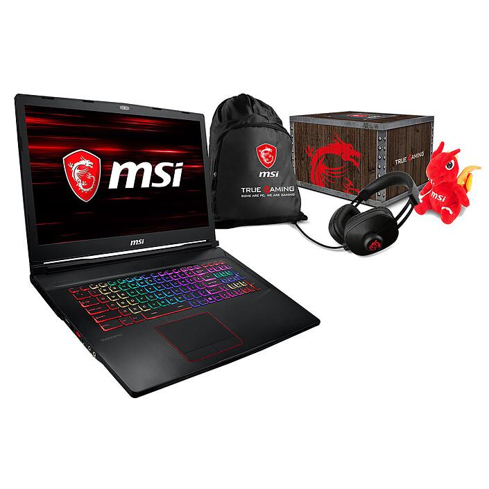 MSI GE73 8RF-288FR Raider RGB + MSI Loot Box - Level 2 OFFERTE !