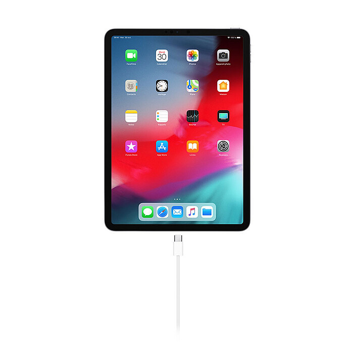 Avis Apple Câble de Charge USB-C vers USB-C Blanc - 1m