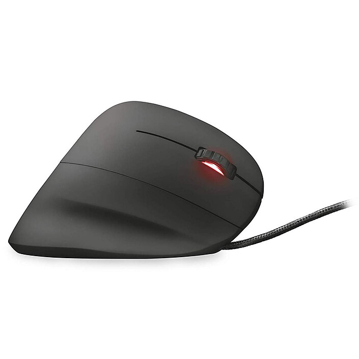 Review Trust Gaming GXT 144 Rexx