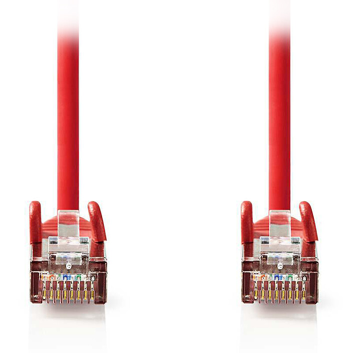 Câble RJ45