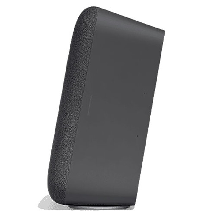 Avis Google Home Max Charbon