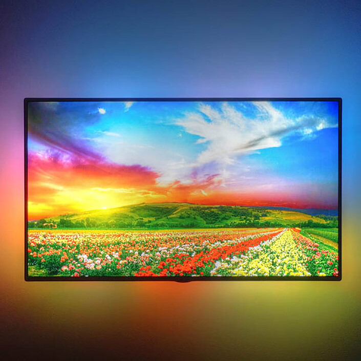 Avis DreamScreen 4K Kit (70"/177 cm)